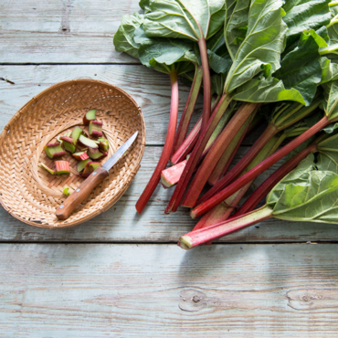 Picture for category Rhubarb