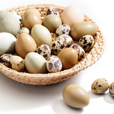 Picture for category Duck & Quail Eggs