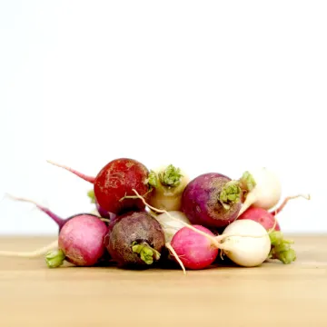 Radish Easter Egg Organic 1lb bag - Retail