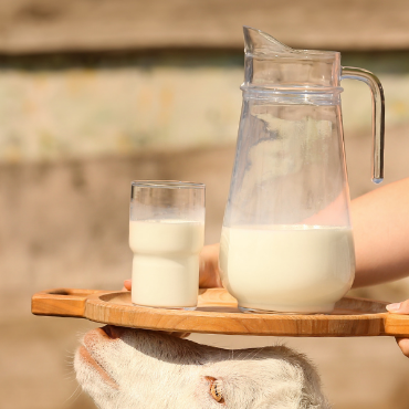 Picture for category Goat Milk