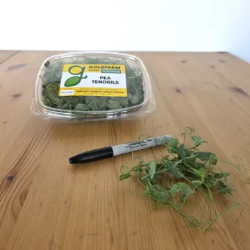 Microgreens Pea Tendrils 16oz
