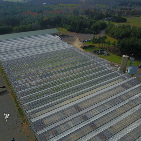 Greennbelt Greenhouses Aerial