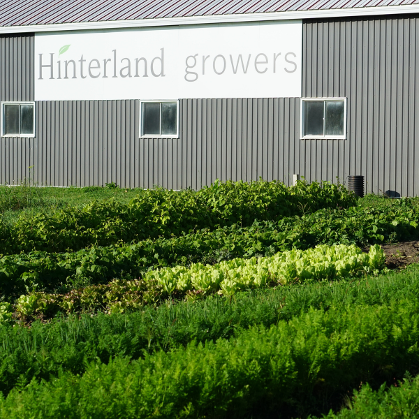 Hinterland Growers